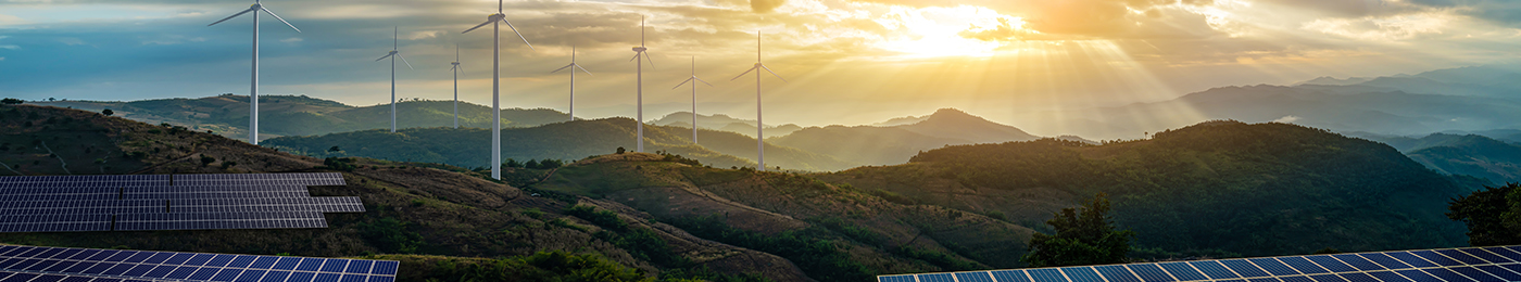 field of solar panels and wind mills